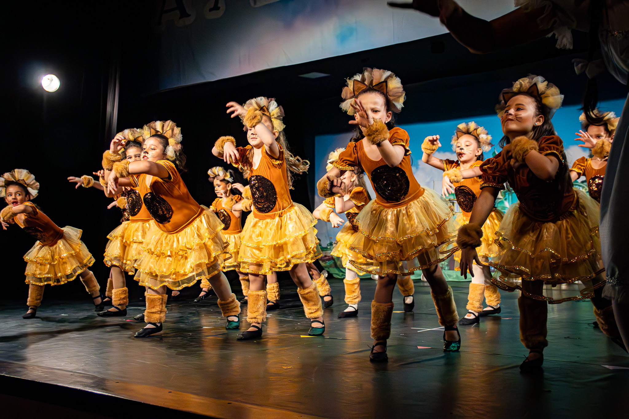 A Magia de Oz — fotografia de palco