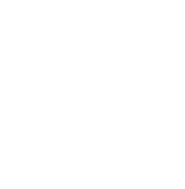 Nathalia Bernstein Fotografia